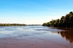 Paraná foresta - ein Nebenarm des Rio Negro
