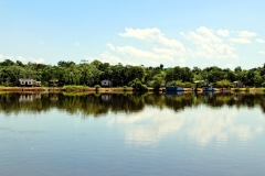 Paraná foresta - ein Nebenarm des Rio Negro