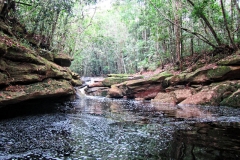 Wasserfall am Igarapé Preto