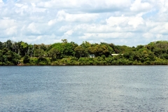 Blick vom Rio Negro auf Airão