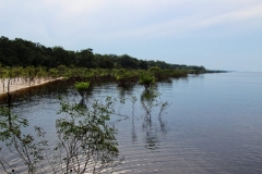 Strand am Rio Negro