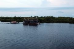 Am Rio Ariaú