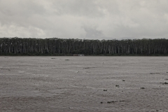 Rio Solimões bei Regen