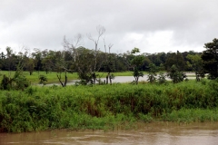 Am Rio Panapuã