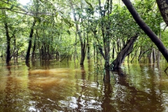 Angelplatz im Wald