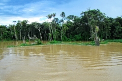 Am Rio Solimões