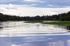 brasilien_2017_08511