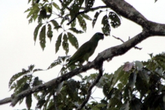 brasilien_2017_09103