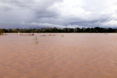 Rio Solimões