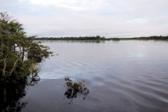 Rio Solimões bei Foz do Jutaí