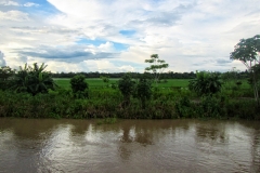 brasilien_2017_10325