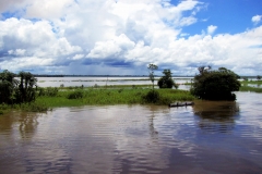 Rio Tonantins dahinter Rio Solimoes