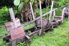 Maniok-Verarbeitung mitten im Urwald