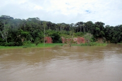 Bei São Paulo de Olivença am Rio Solimões