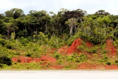 São Paulo de Olivença am Rio Solimões