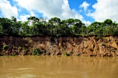 Rio Solimões