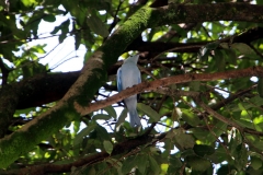 brasilien_2017_16419