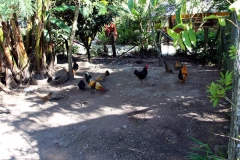 Baños - Parque Provincial de la Familia