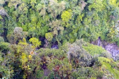 Blick in Tal des Río Pastaza