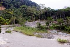 ecuador_2016_09108