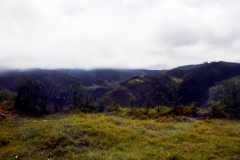 Nahe Yolán, ca. 2700m hoch