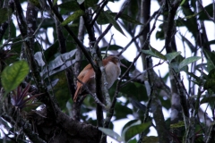 ecuador_2016_11301