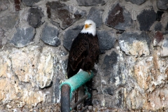 Otavalo: Parque del Condor