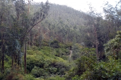 Cascadas de Peguche