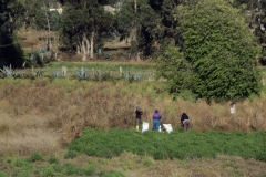 ecuador_2016_13108