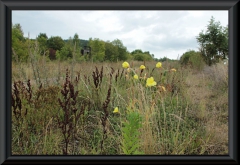 ehemalige-a4-hoerselberge-201209-08