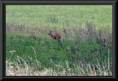 ehemalige-a4-hoerselberge-201209-27