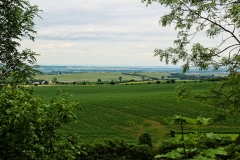Blick ins Thüringer Becken