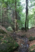 Neuntal