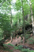 Neuntal