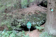 Ein Naturlehrpfad