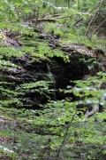 Der Wasserfall im Neuntal