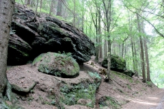 Dachsbachtal