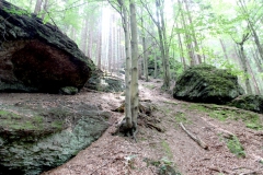 Dachsbachtal