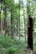 Dachsbachtal
