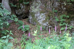 Dachsbachtal