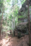 Dachsbachtal