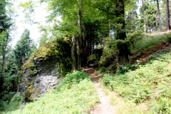Schoederfelsen