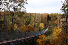 hohe-schrecke-haengeseilbruecke05