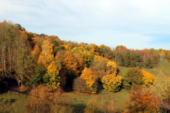 hohe-schrecke-haengeseilbruecke06