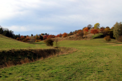 hohe-schrecke-haengeseilbruecke07