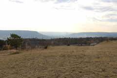 Jena Windknollen - Blick nach Jena