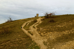 Jena Windknollen - Blick zum Napoleonstein