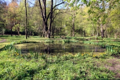 Ilmenau, am Kickelhahn-Rundweg im Ilmtal