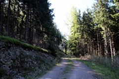 kickelhahn_2016_01004