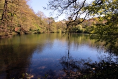 Ilmenau, Ritzebühler Teich